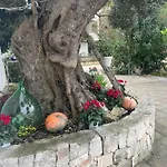 펜션 Il Trullo Di Nonno Licchio 알베르벨로