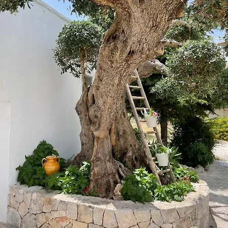 Il Trullo Di Nonno Licchio 度假居