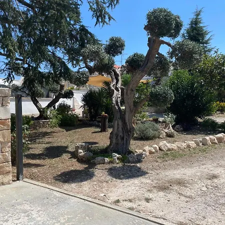 Il Trullo Di Nonno Licchio *