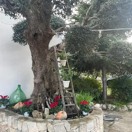 Il Trullo Di Nonno Licchio * 阿尔贝罗贝洛