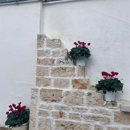 Il Trullo Di Nonno Licchio Dom wakacyjny *