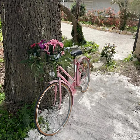 Feriehus Il Trullo Di Nonno Licchio Alberobello