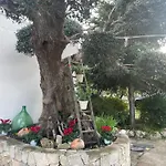 Il Trullo Di Nonno Licchio * Alberobello