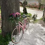 Nyaraló Il Trullo Di Nonno Licchio Alberobello