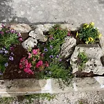 Il Trullo Di Nonno Licchio * Alberobello