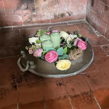 Il Trullo Di Nonno Licchio Hébergement de vacances *