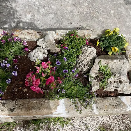 Il Trullo Di Nonno Licchio * Alberobello