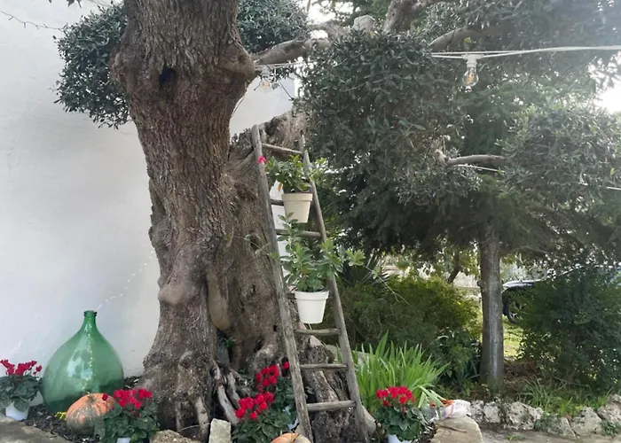 Il Trullo Di Nonno Licchio * Alberobello
