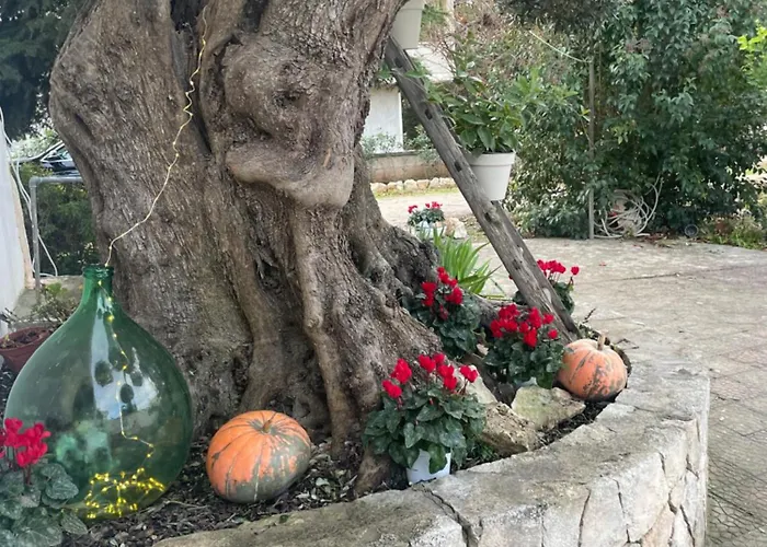 Сasa de vacaciones Il Trullo Di Nonno Licchio Alberobello