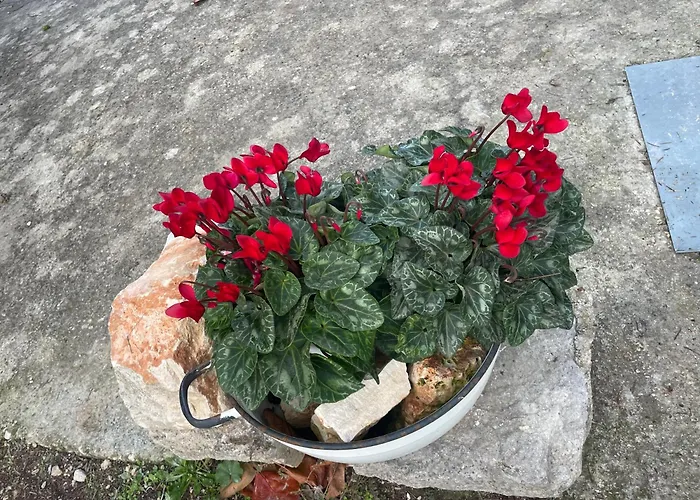 Il Trullo Di Nonno Licchio Alberobello