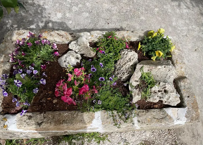 Il Trullo Di Nonno Licchio * Alberobello